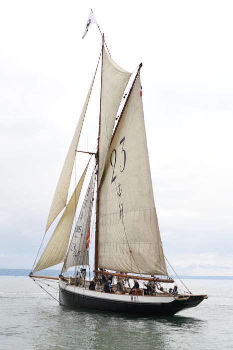 bateau de service, bateau pilote (cotre H 23) dit Marie Fernand