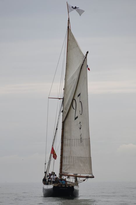 bateau de service, bateau pilote (cotre H 23) dit Marie Fernand