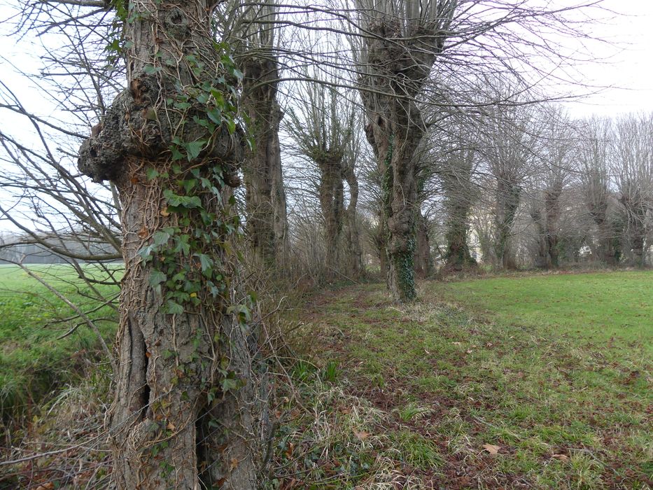 parc, vue partielle