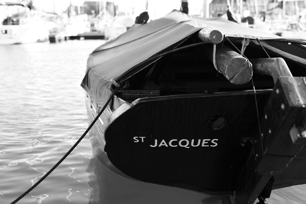 vaquelotte Le Jacques, détail