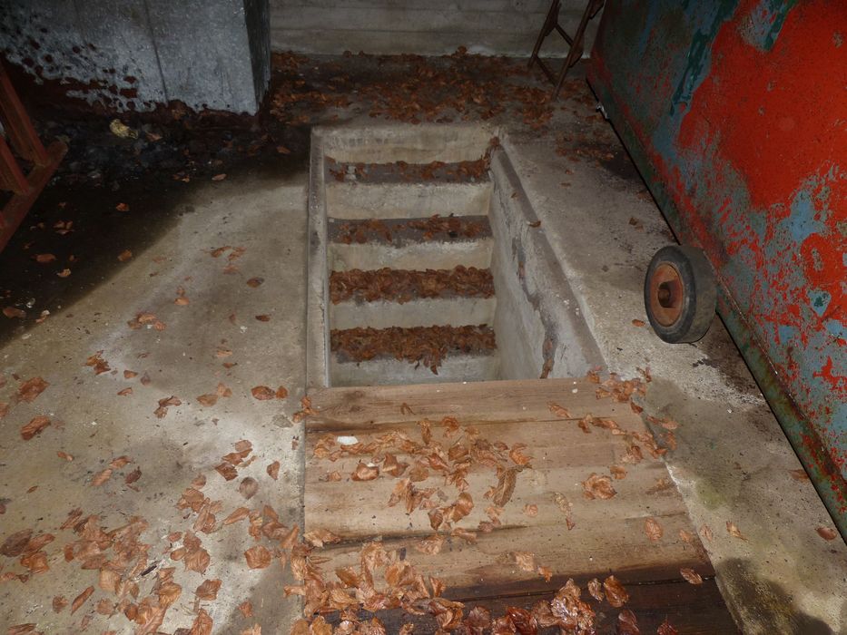 escalier de la fosse