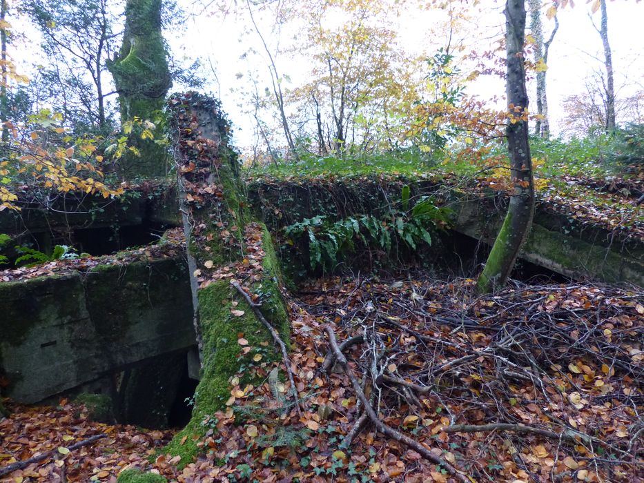 blockhaus