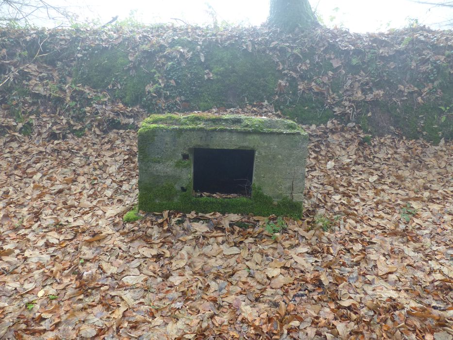 niche