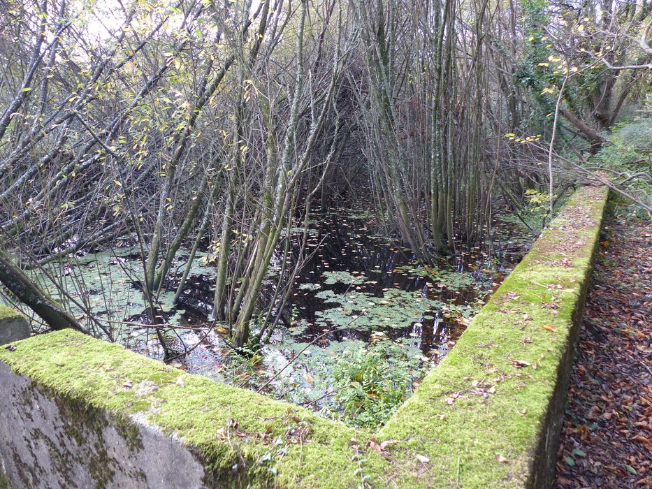 vue partielle de la piscine