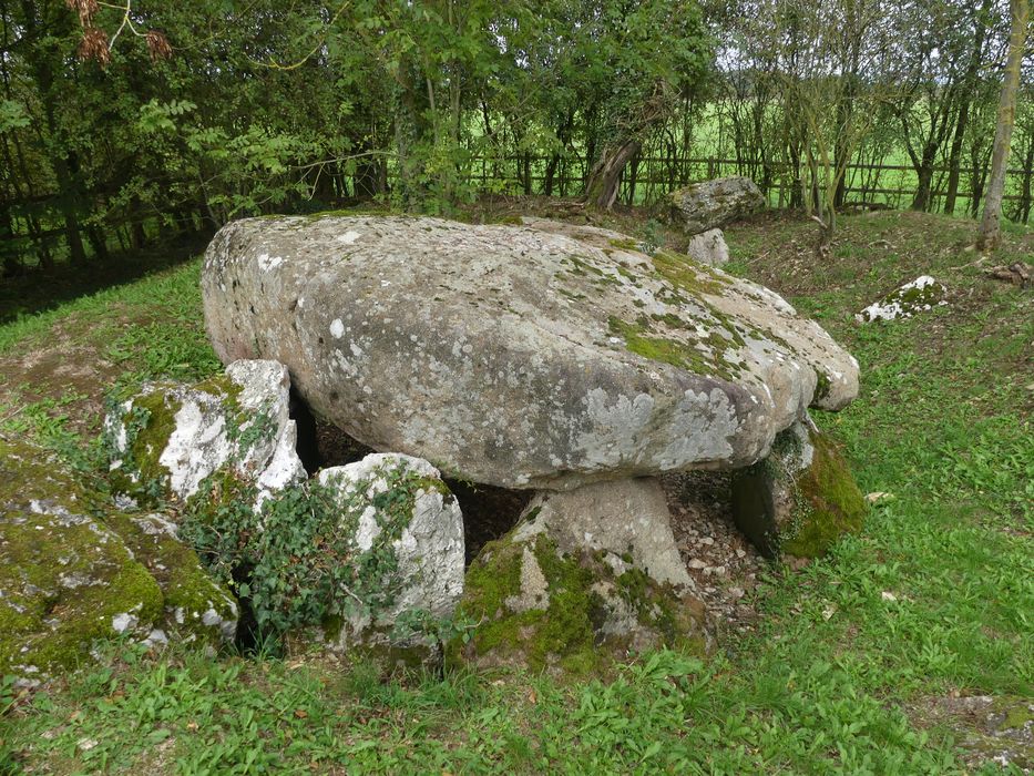 vue générale du dolmen