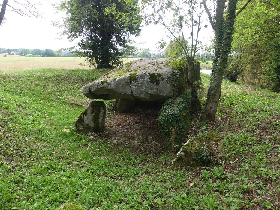 vue générale du dolmen