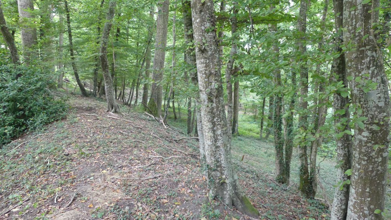 vue partielle du site (partie Nord)