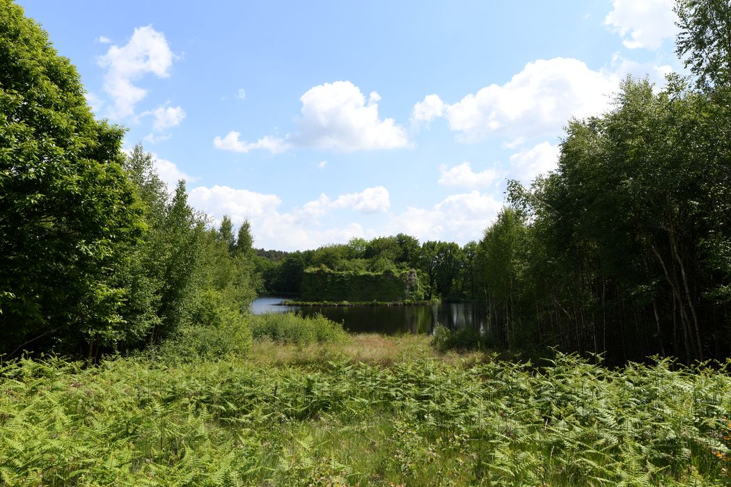 vue générale des vestiges dans leur environnement depuis le Nord-Ouest