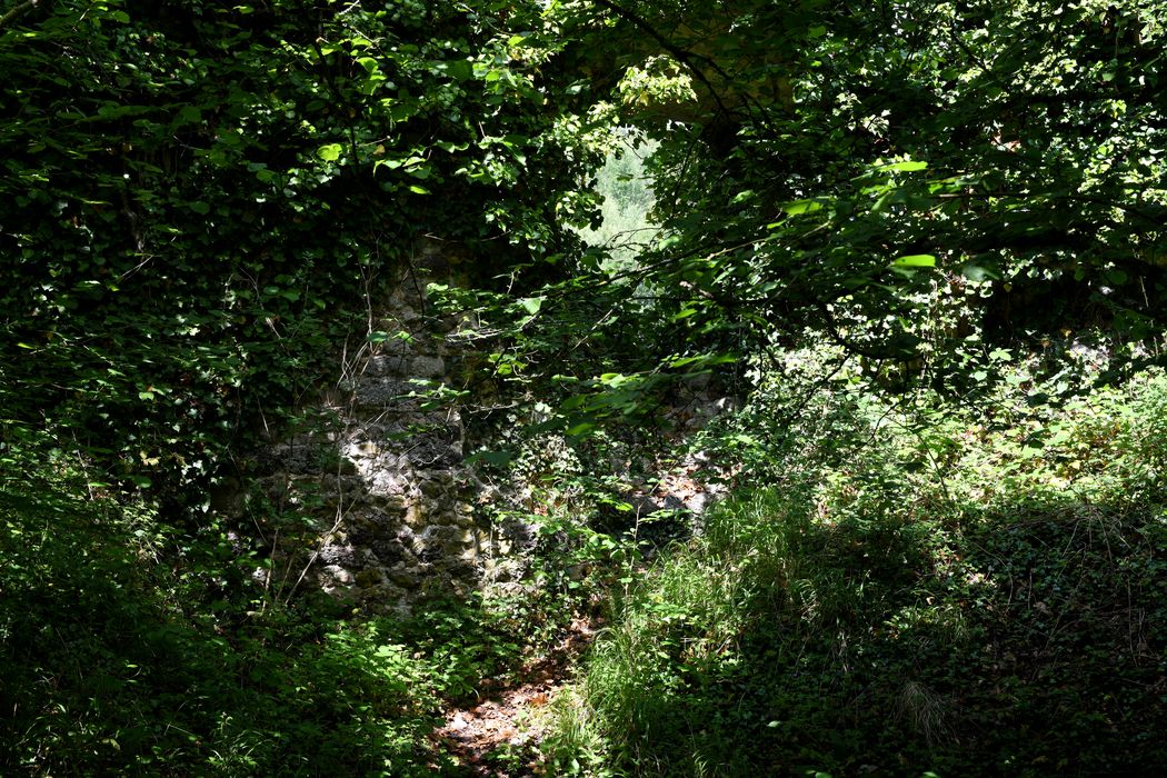 vue partielle des vestiges