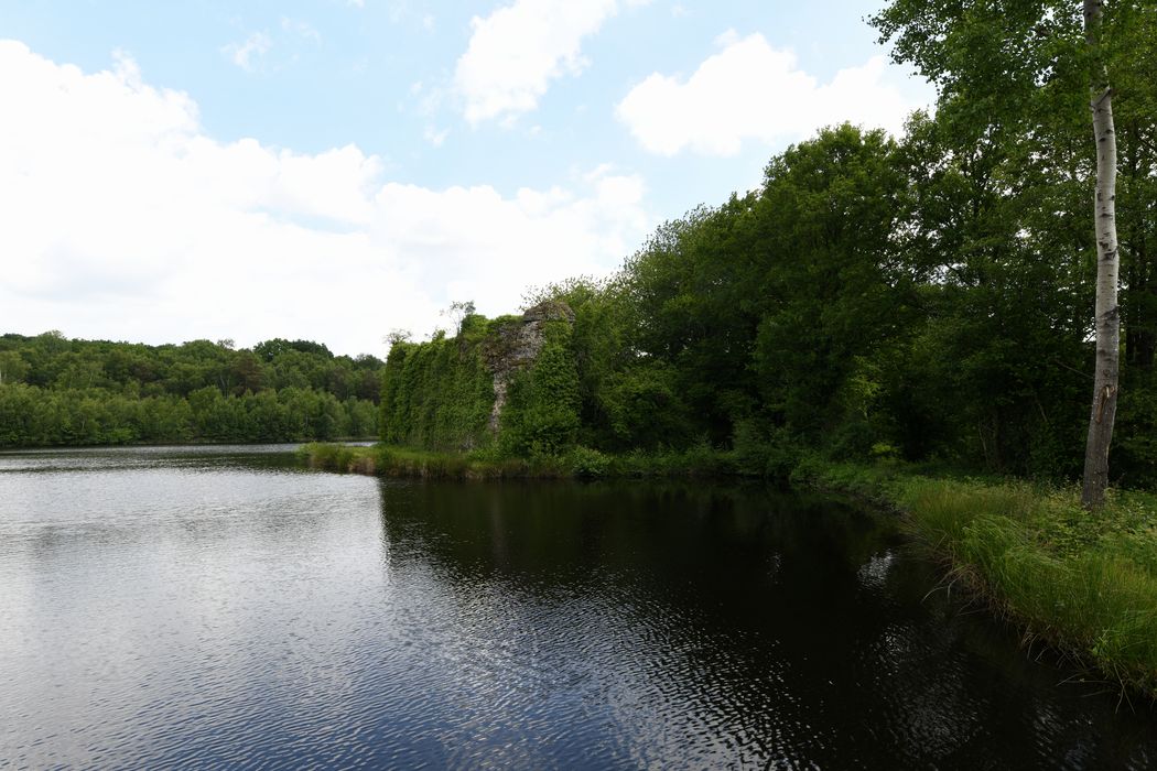 vue générale des vestiges depuis l’Ouest