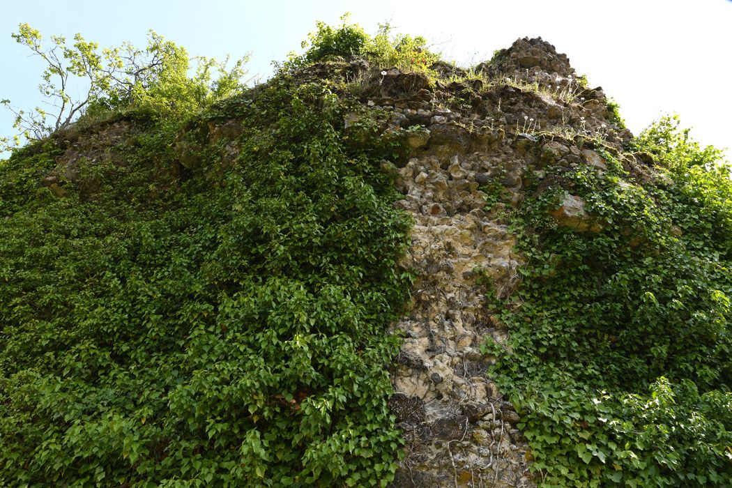 vue partielle des vestiges, angle ouest