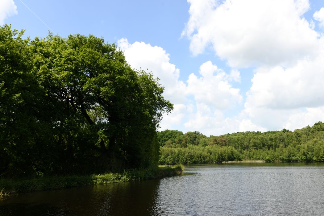 vue partielle des vestiges depuis le Sud