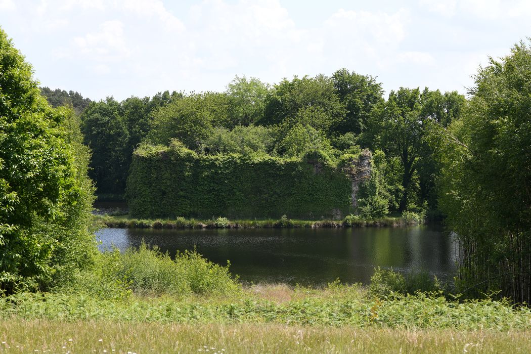 vue générale des vestiges dans leur environnement depuis le Nord-Ouest