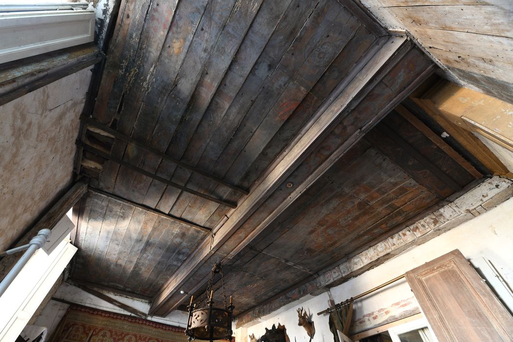 1er étage, grande pièce, plafond peint