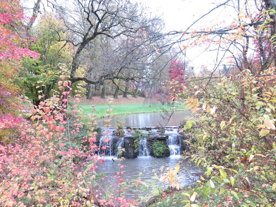 parc, vue partielle