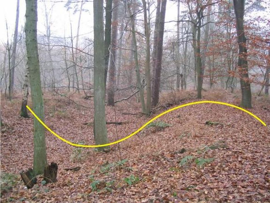 aspect actuel des levées de terre du site de Boitsforts