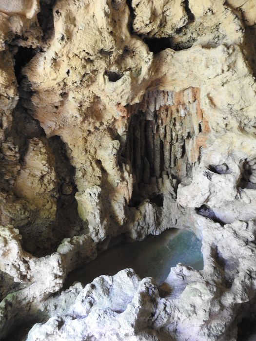 vue partielle de la grotte du jardin