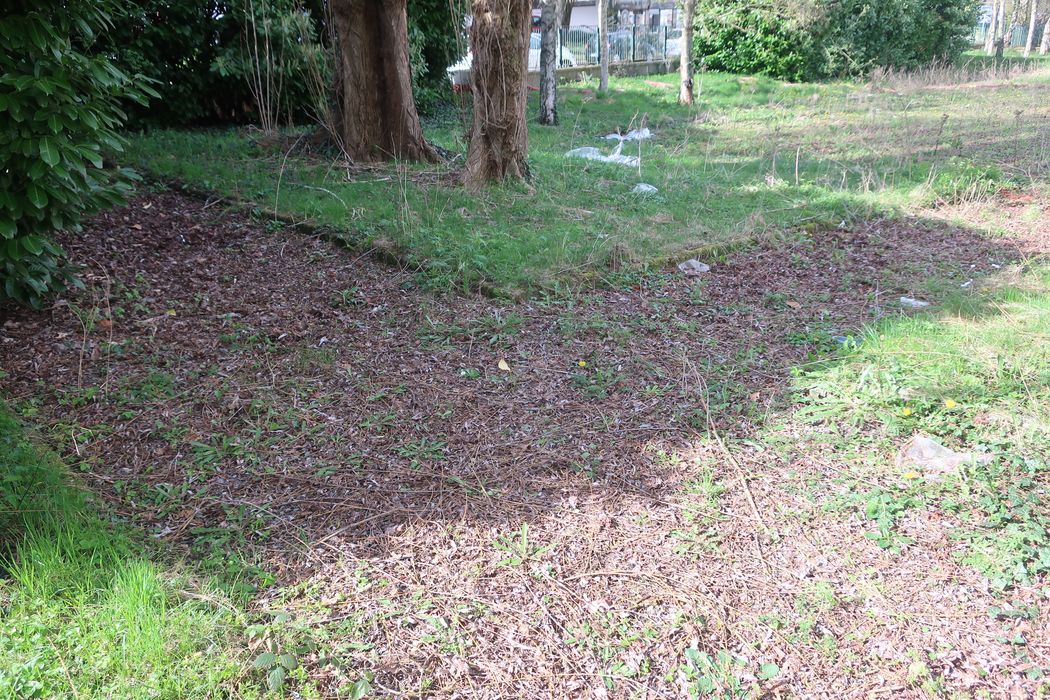 jardin, allées de circulation, vue partielle