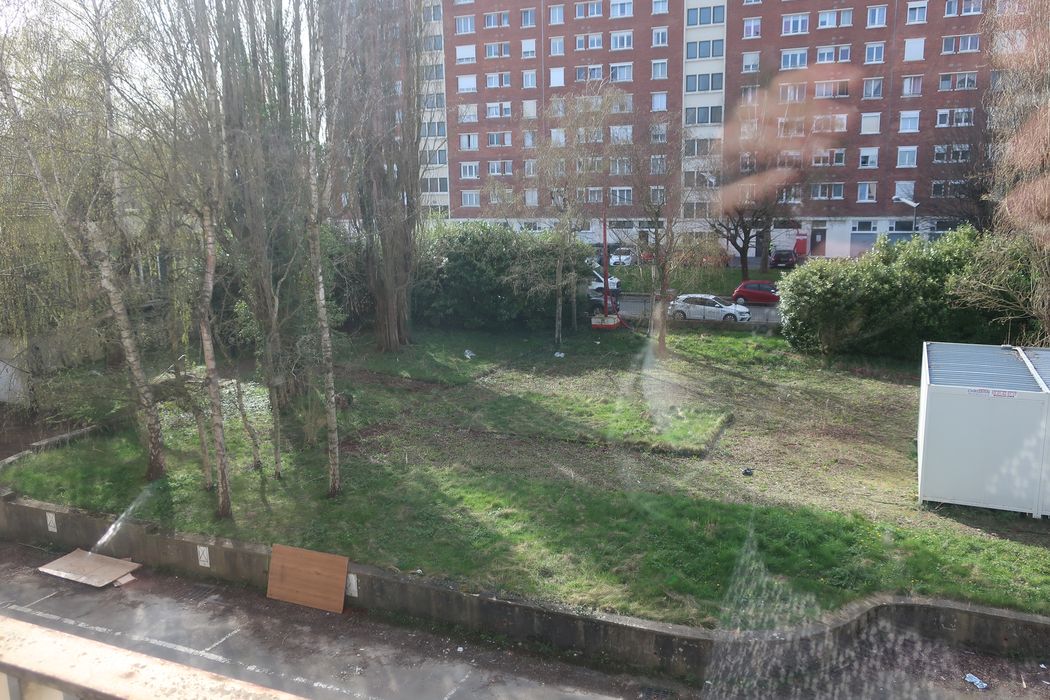 jardin