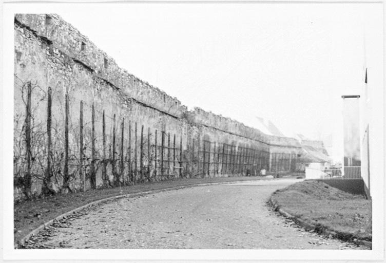 Mur ouest (intérieur), vue partielle.