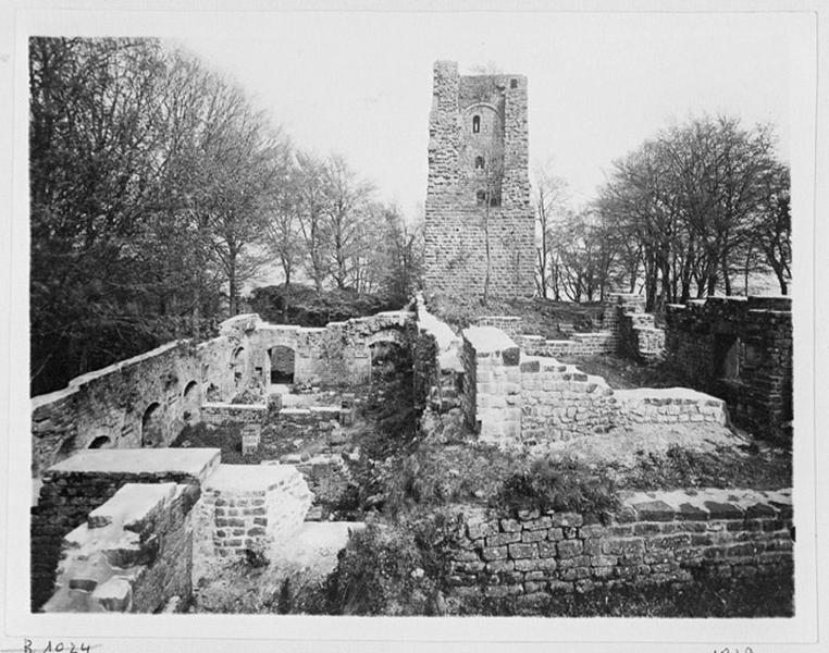 Donjon, vue d'ensemble depuis l'ouest.