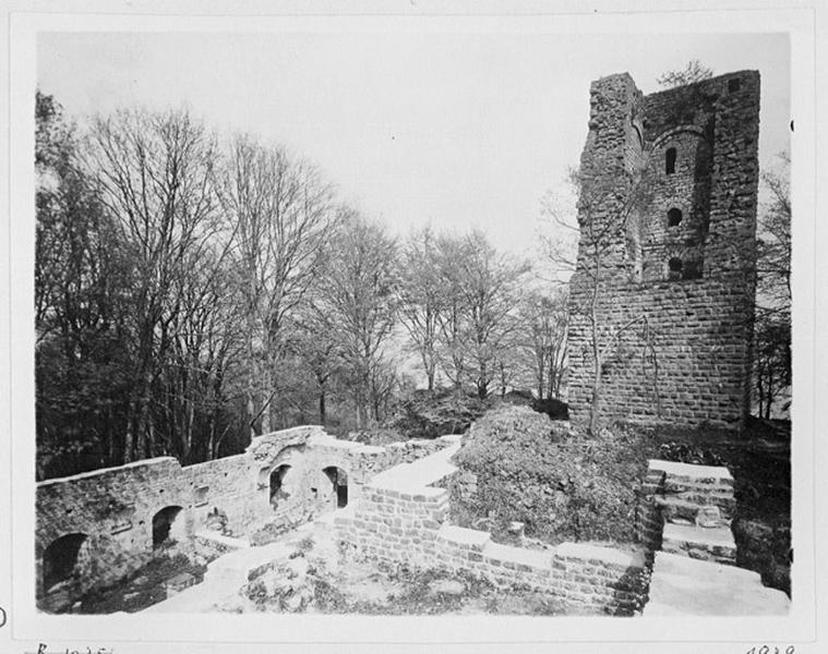 Donjon, vue d'ensemble depuis le logis seigneurial.