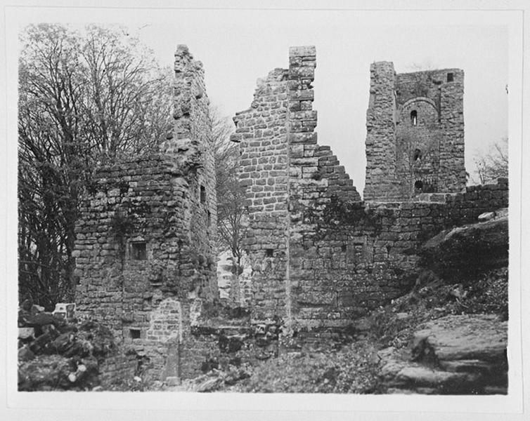 Donjon, vue d'ensemble depuis l'ouest.