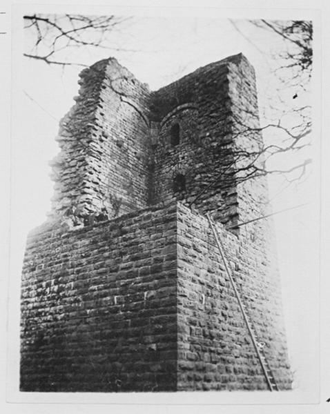 Donjon, vue partielle depuis le sud-ouest.