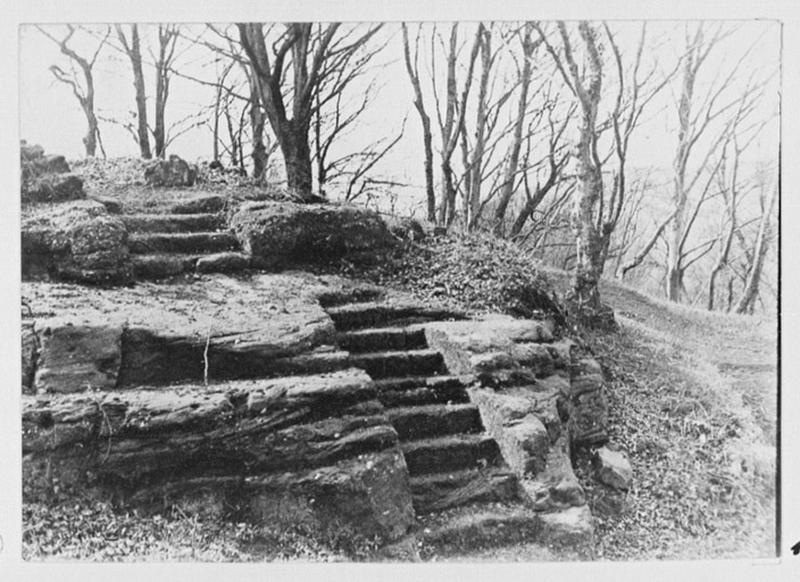 Escalier côté ouest, vue d'ensemble.