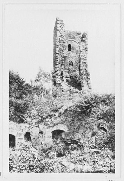 Donjon, vue d'ensemble depuis le logis seigneurial.