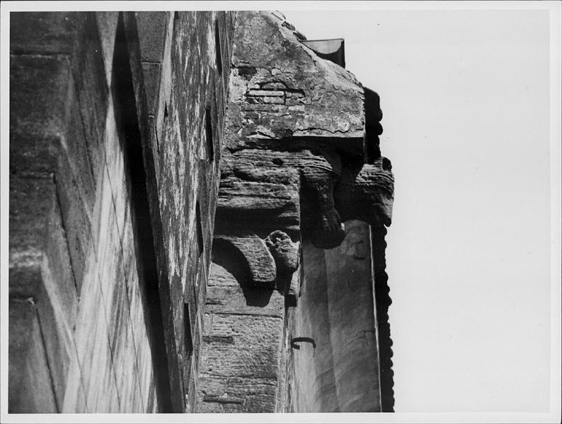 Détail du protomé d'ours ouest de la corniche de la façade sud.