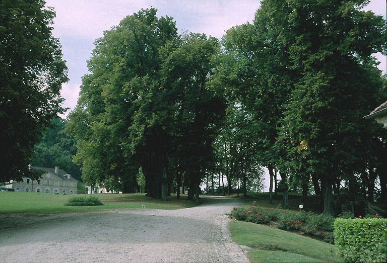 Allée d'accès au logis sur le quinconce