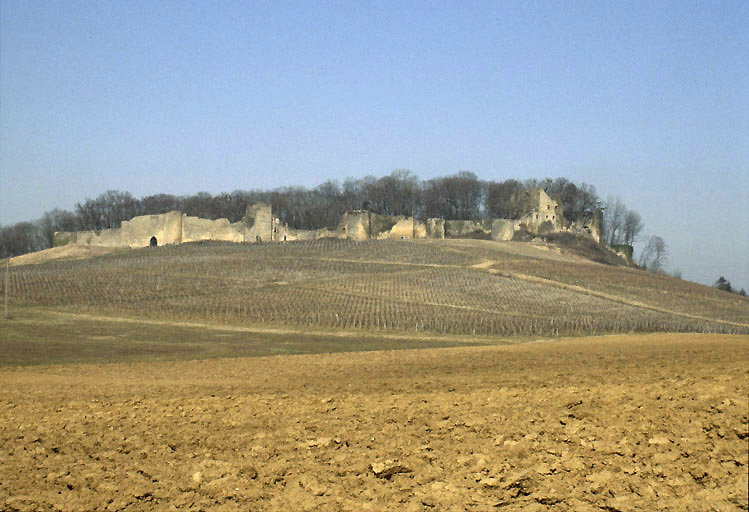 Bourg-Dessus et château médiéval vus depuis le sud