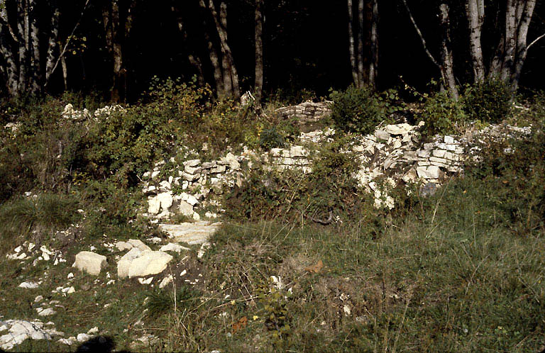 Vestiges d'habitation