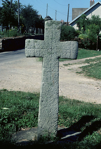 Face postérieure