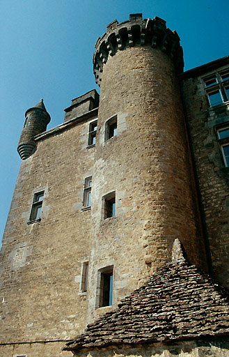 Donjon : façade sud avec la tour d'escalier