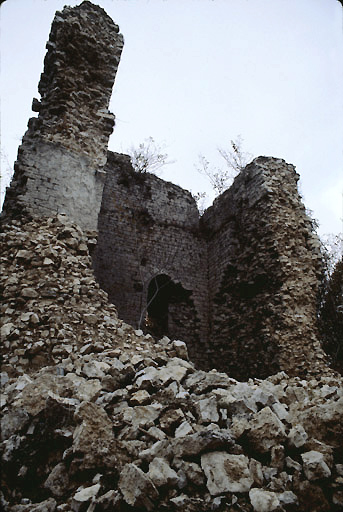 Donjon vu depuis le sud-est