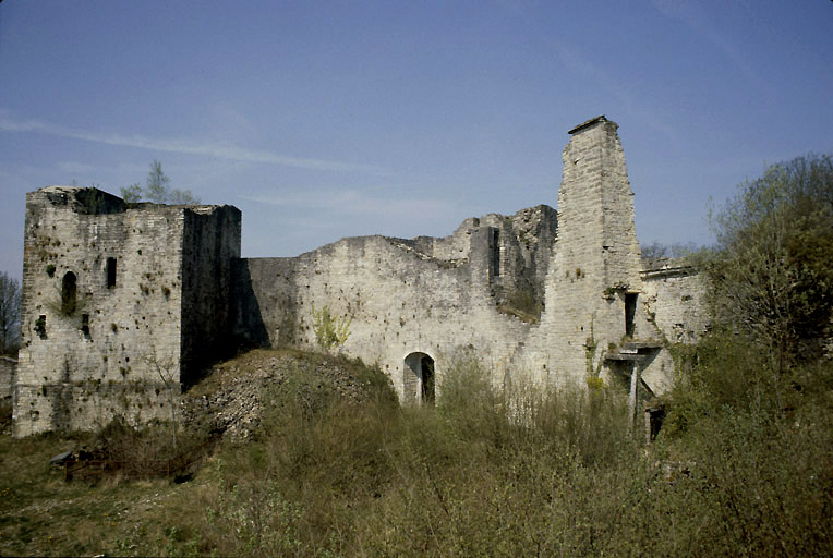 Cour : côté nord-est vue depuis le sud