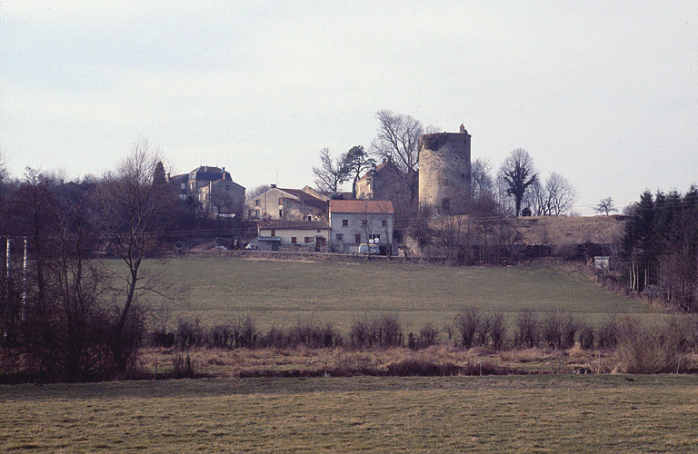 Donjon vu de la route de Demangevelle