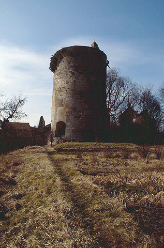 Donjon vu depuis la cour