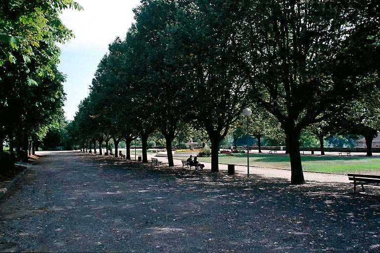 Contre-allée et tilleuls à l'est du tapis vert.