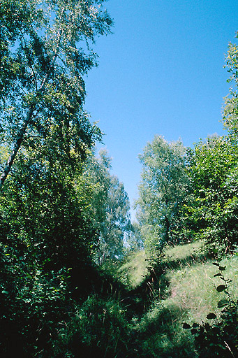 Vue d'ensemble depuis le sud.