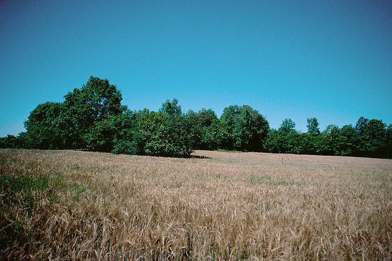 Vue depuis le sud-ouest.