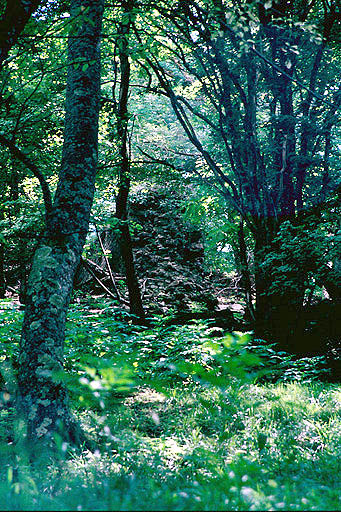 Vestiges côté nord.