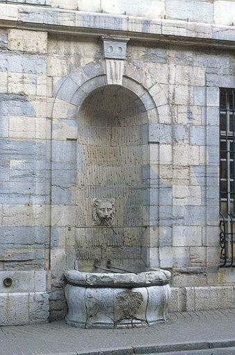 Façade antérieure : fontaine.