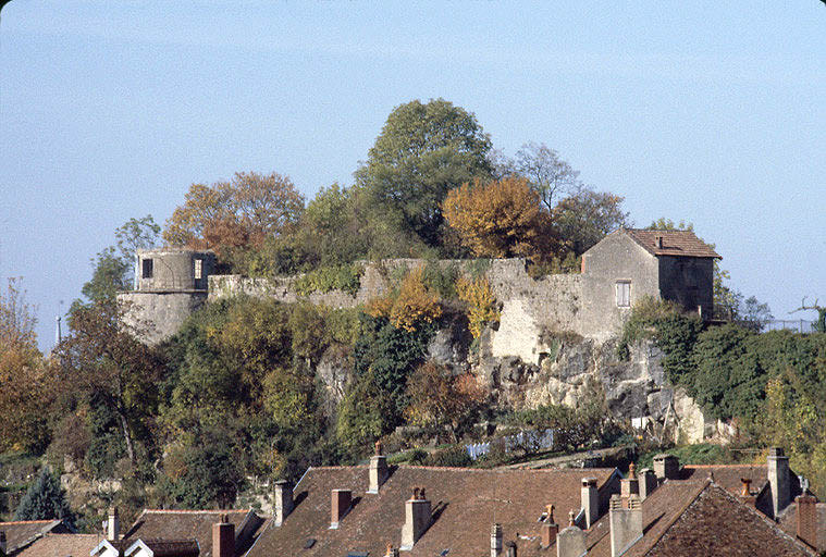 Tour et enceinte sur Boussière vues du sud-est.