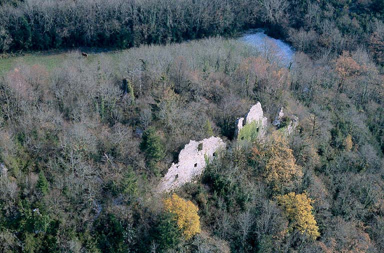 Vue aérienne du site depuis l'ouest.