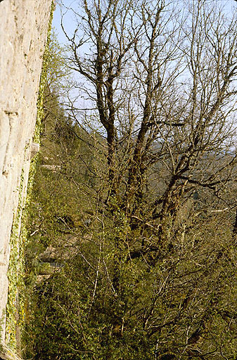 Côté ouest du château : élévation extérieure : encorbellements.