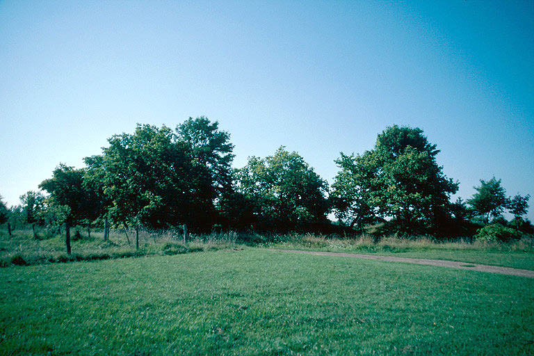 Enceinte cultuelle du mont d'Auvet : vue d'ensemble du nord.