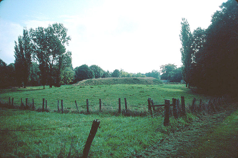 Plateforme de la maison-forte vue vers le sud.